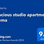 Spacious Studio Apartment Sliema