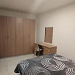 Private Room In A Big Aparment