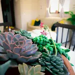 Sunshine Residence