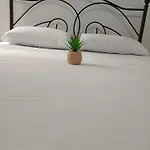 Rose Apartment