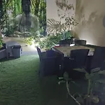 3 Flamingos