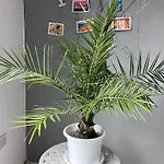 Central 2 Bedroom Apartment 5 Min From The Sea