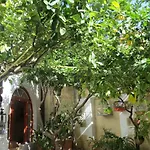 Buganvilla