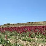 Il-Grigal Apt. C1 Wind Rose Gozo